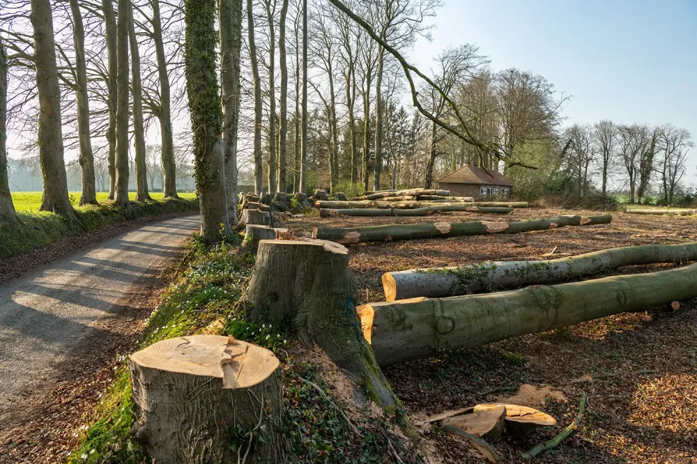 Nos méthodes d’abattage 