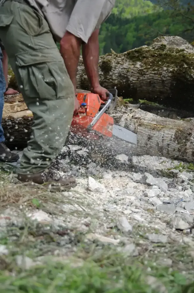 realisation Lopoli Forest abattage élagage et bois de chauffage autour de libourne (2)