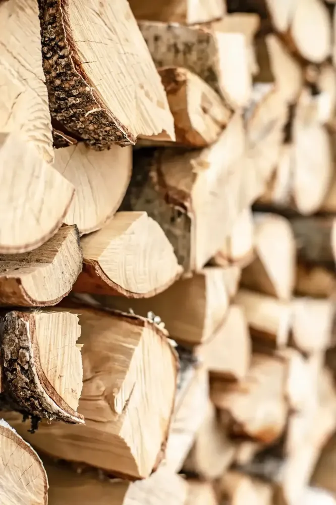 realisation Lopoli Forest abattage élagage et bois de chauffage autour de libourne (4)