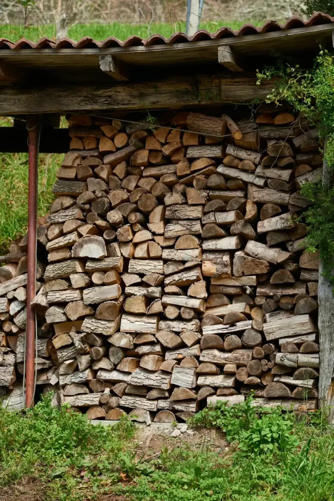 realisation Lopoli Forest abattage élagage et bois de chauffage autour de libourne (6)